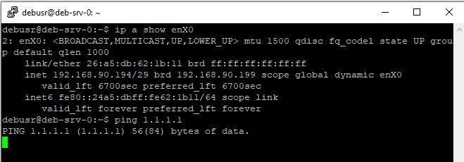 server assigned to VLAN subnet